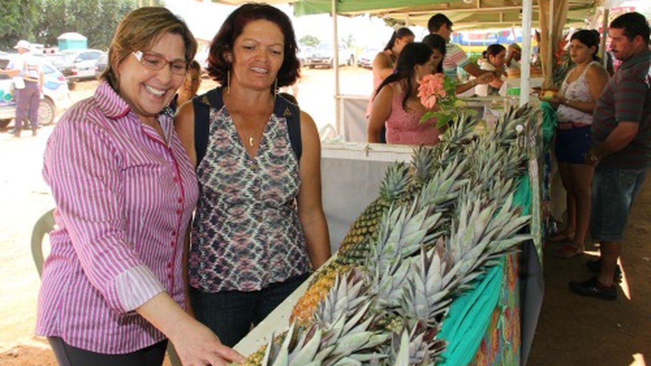 Arapiraca: Comunidade do Poção se destaca em AL na produção de abacaxi