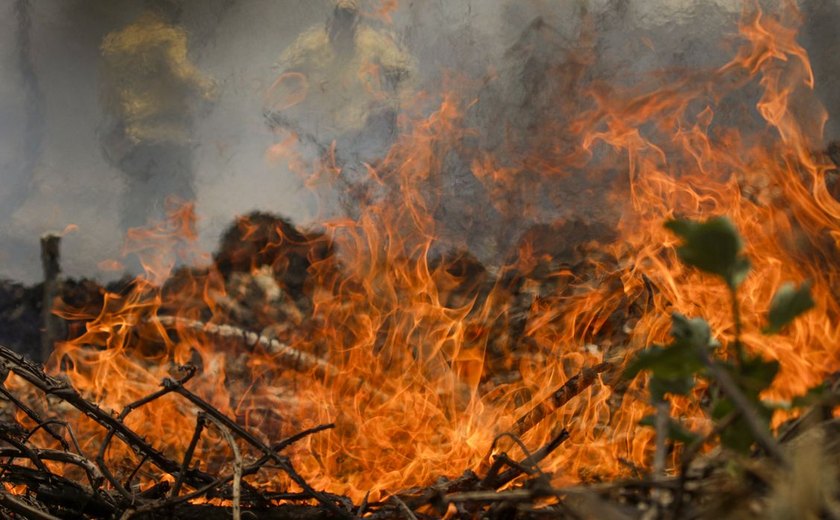 Quase 1/4 do território brasileiro pegou fogo nos últimos 40 anos
