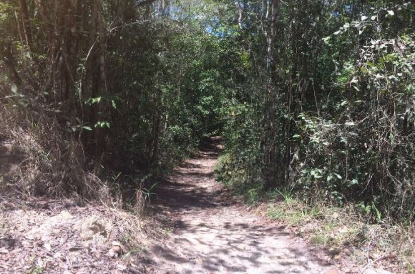 Semarh participa de criação de reserva para proteger Mata Atlântica