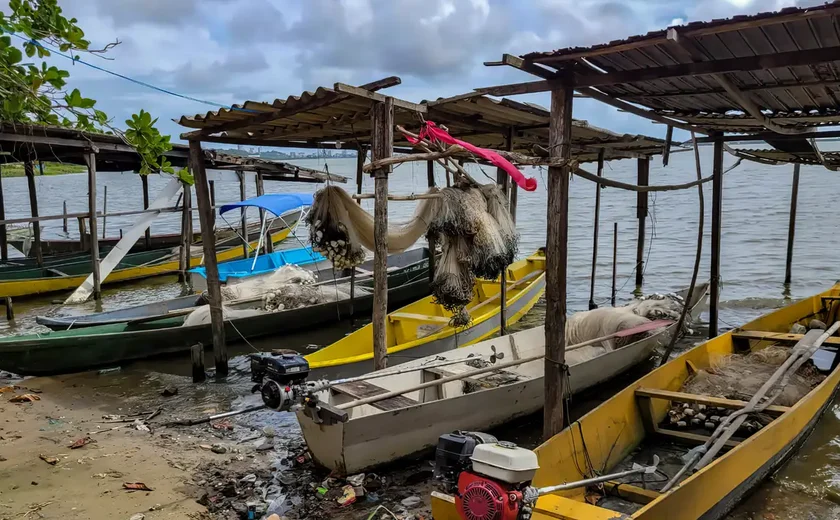 Peixe na água e rede vazia: desastre da Braskem atinge pescadores