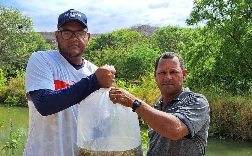 Entrega de alevinos combate à fome de mais de mil famílias alagoanas