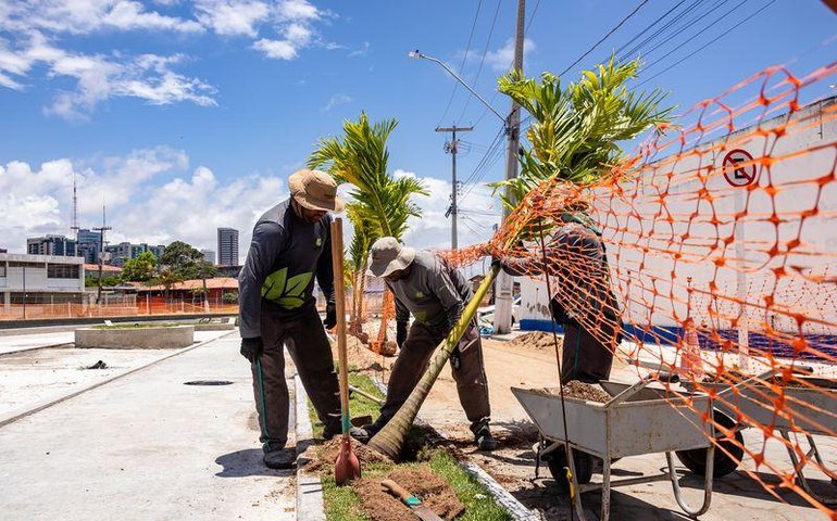 Arborização avança e marca reta final do Renasce Salgadinho, maior obra ambiental de Maceió