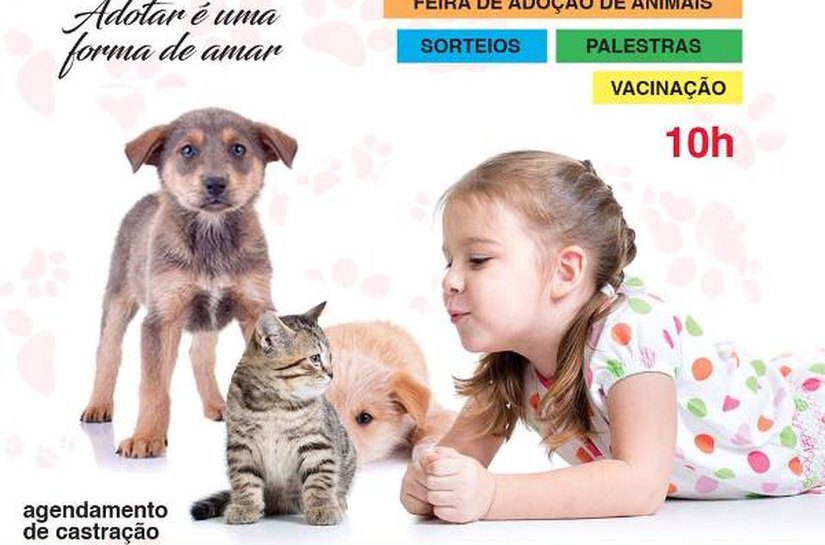 Estudantes realizam evento que reúne feira de adoção de cães e gatos