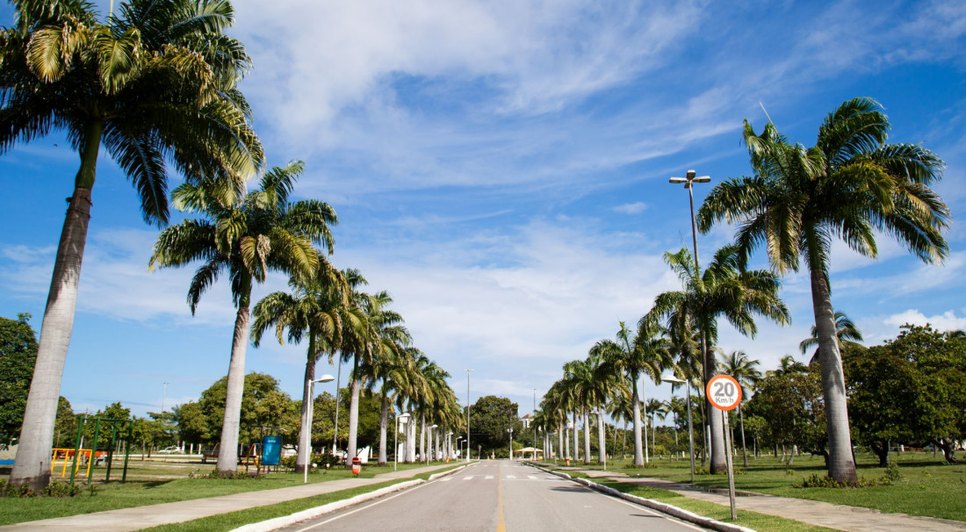 SEMENTEIRA / Foto: Foto: Governo de Sergipe