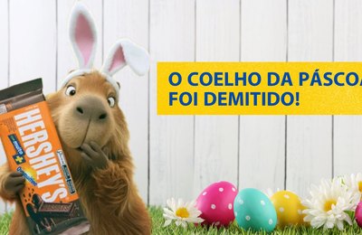 O que a campanha de Páscoa da Hershey’s revela sobre comportamento e comunicação