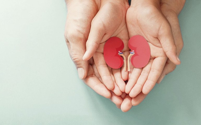 Dia Mundial do Rim reforça cuidados com pacientes mais fragilizados