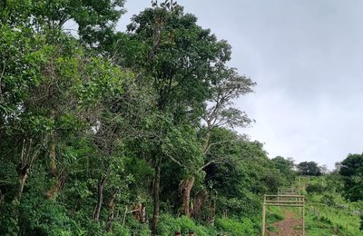 Pedra do cruzeiro em Tanque d’Arca é a maior do nordeste para praticar rapel