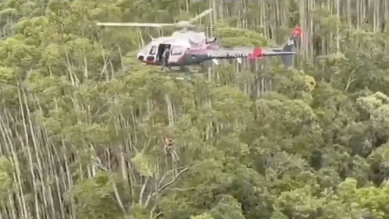 Corpos de vítimas de queda de helicóptero em SP são retirados da mata e seguem por terra para o IML