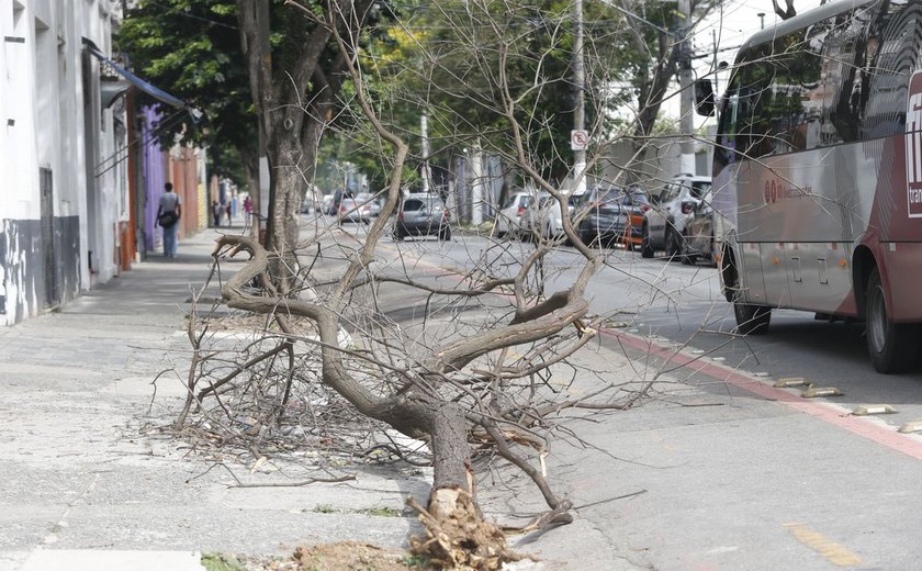Chuva forte deixa mais de 1 milhão sem luz nesta tarde em São Paulo
