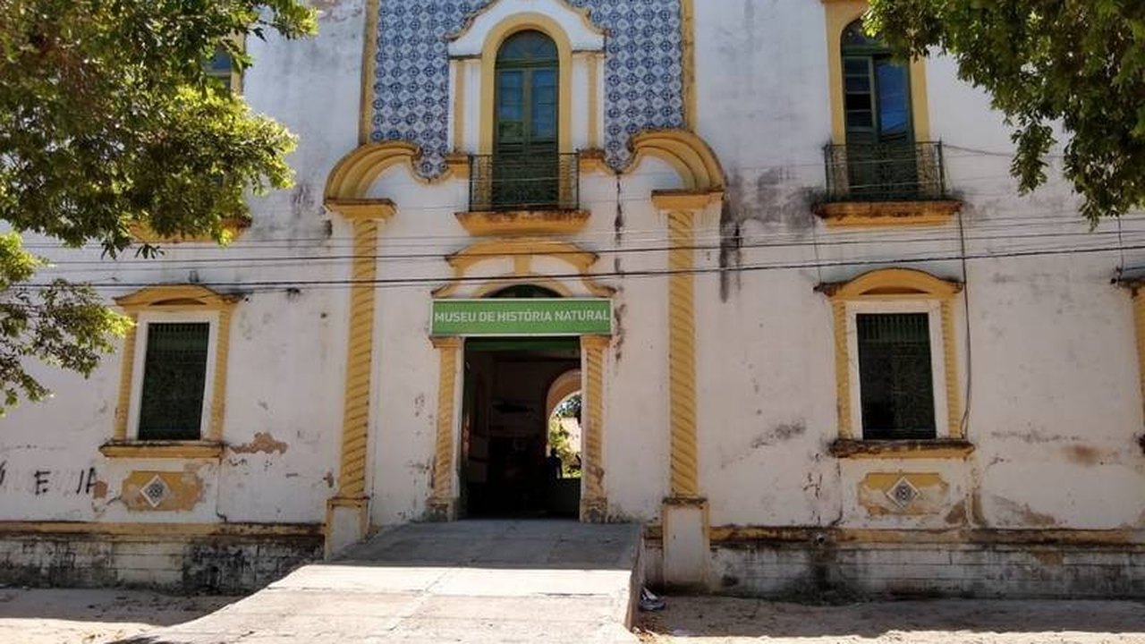 Museu de História Natural tem programação especial nesta sexta e sábado