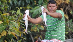 pescador