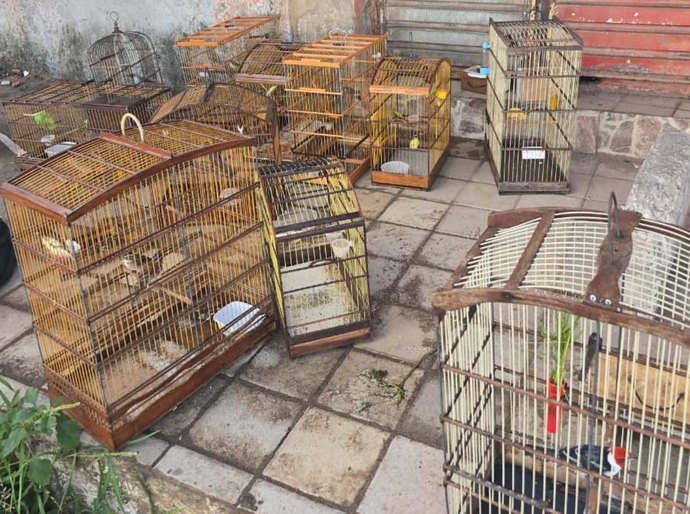 PM-AL combate crimes ambientais, tráfico e porte ilegal de arma na capital e no interior