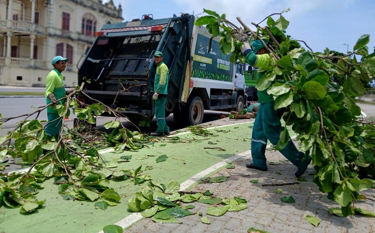 Alurb realiza vistorias e podas em árvores na Praia da Avenida