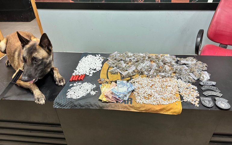 PM-AL apreende quase 50 quilos de drogas e 25 armas de fogo em uma semana