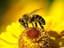 WhatsApp Image 2025 08 01 at 11.28.17 1 300x201