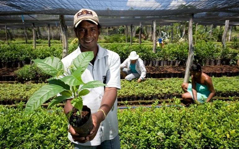 Núcleo foca em projetos de promoção do turismo, desenvolvimento rural e urbano