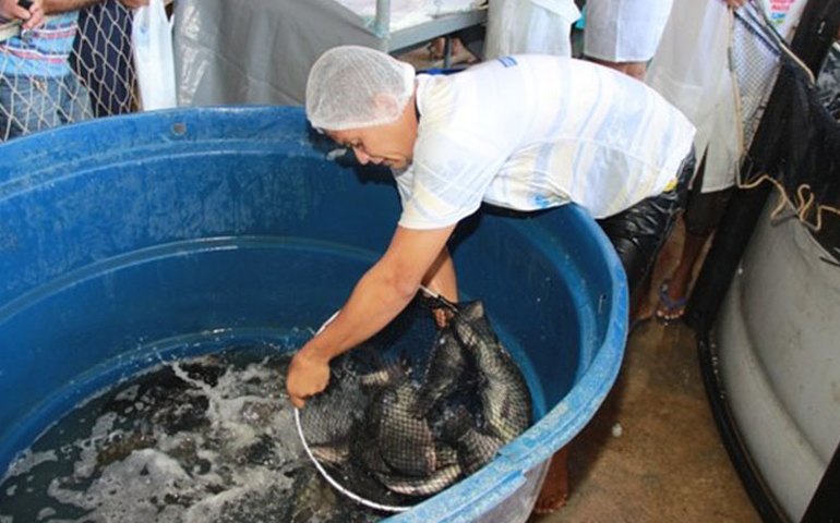 Feira Grande celebra Ressaca do Carnaval