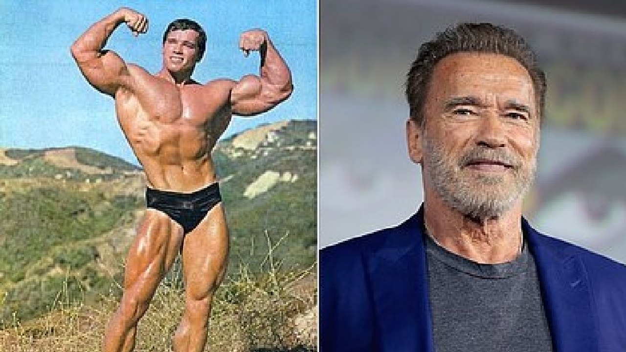 Schwarzenegger estreia em série de comédia de ação da Netflix
