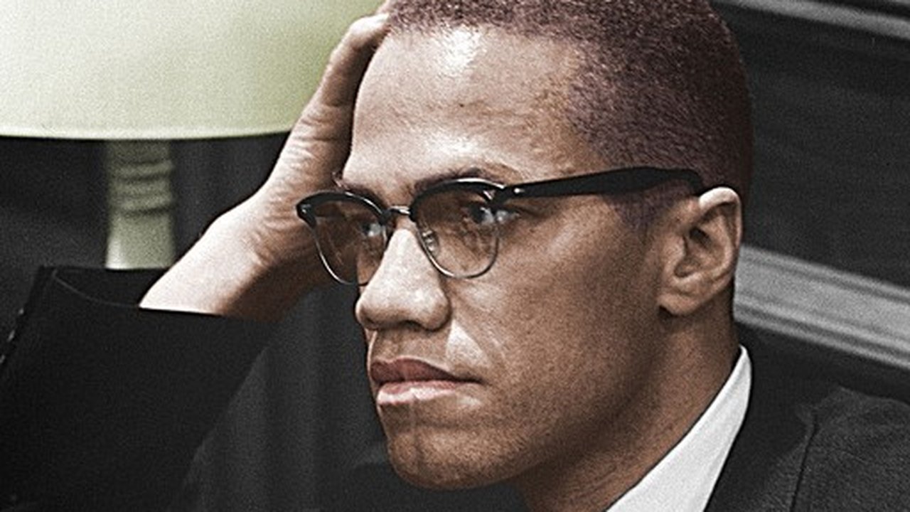 Pulitzer 2021 premia romance de Louise Erdrich e biografia de Malcolm X