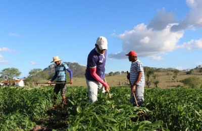IMA abre canal para facilitar Cadastro Ambiental Rural; prazo termina no dia 31 