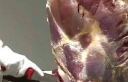 Mercado internacional impulsiona agronegócio brasileiro