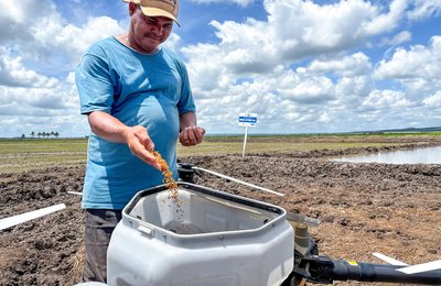Programa Alagoas Mais Arroz leva inovação e tecnologia para melhorar produtividade do Baixo São Francisco
