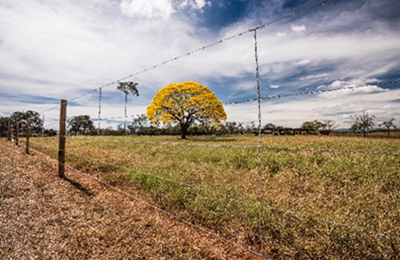 Sustentabilidade na prática: o que protege a natureza e fortalece a produção?