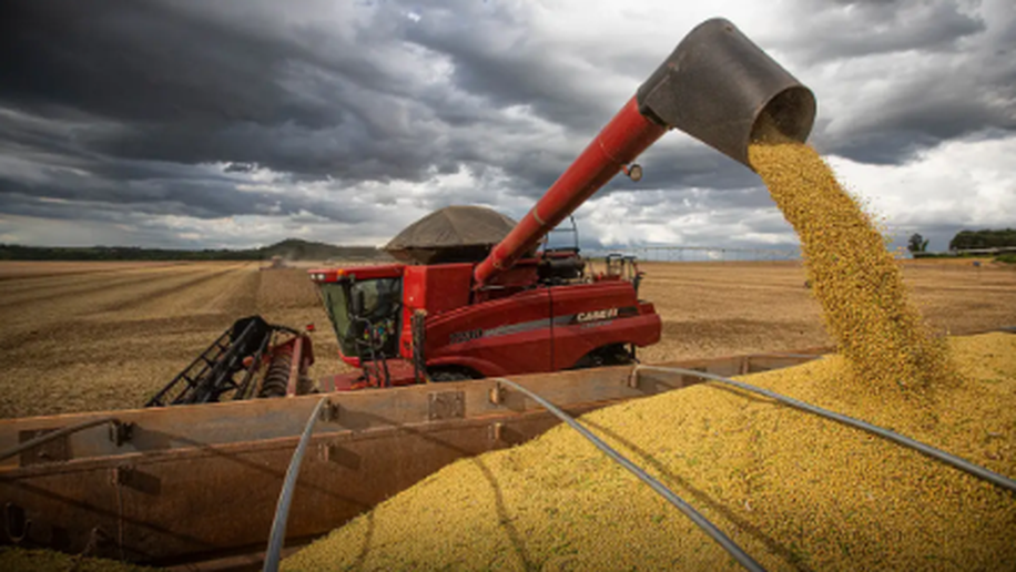 Produção brasileira de grãos deve ser 14,2% maior