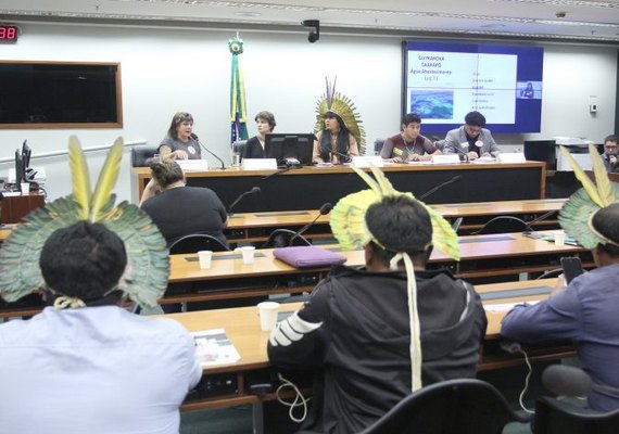 Contaminação por agrotóxicos tem afetado comunidades indígenas, apontam debatedores