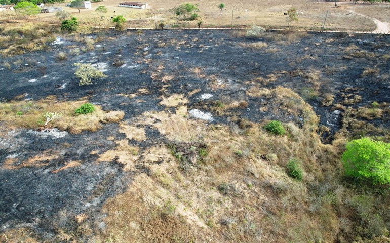 IMA alerta para o aumento de 256 % nos focos de queimadas em uma semana