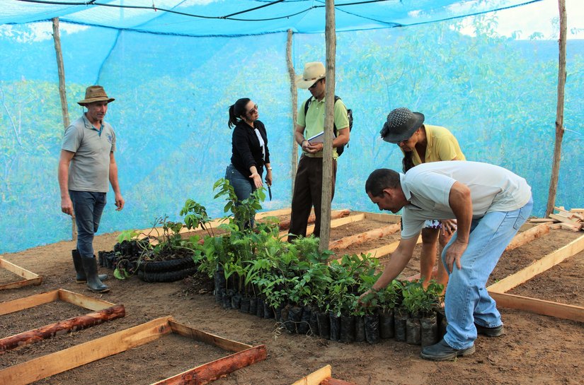 Cooperativa em Flexeiras inicia projeto de viveiro de mudas com irrigação