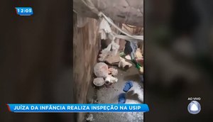 Inspeção Usip