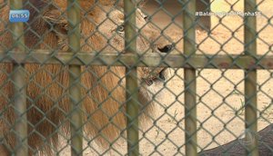 zoologico