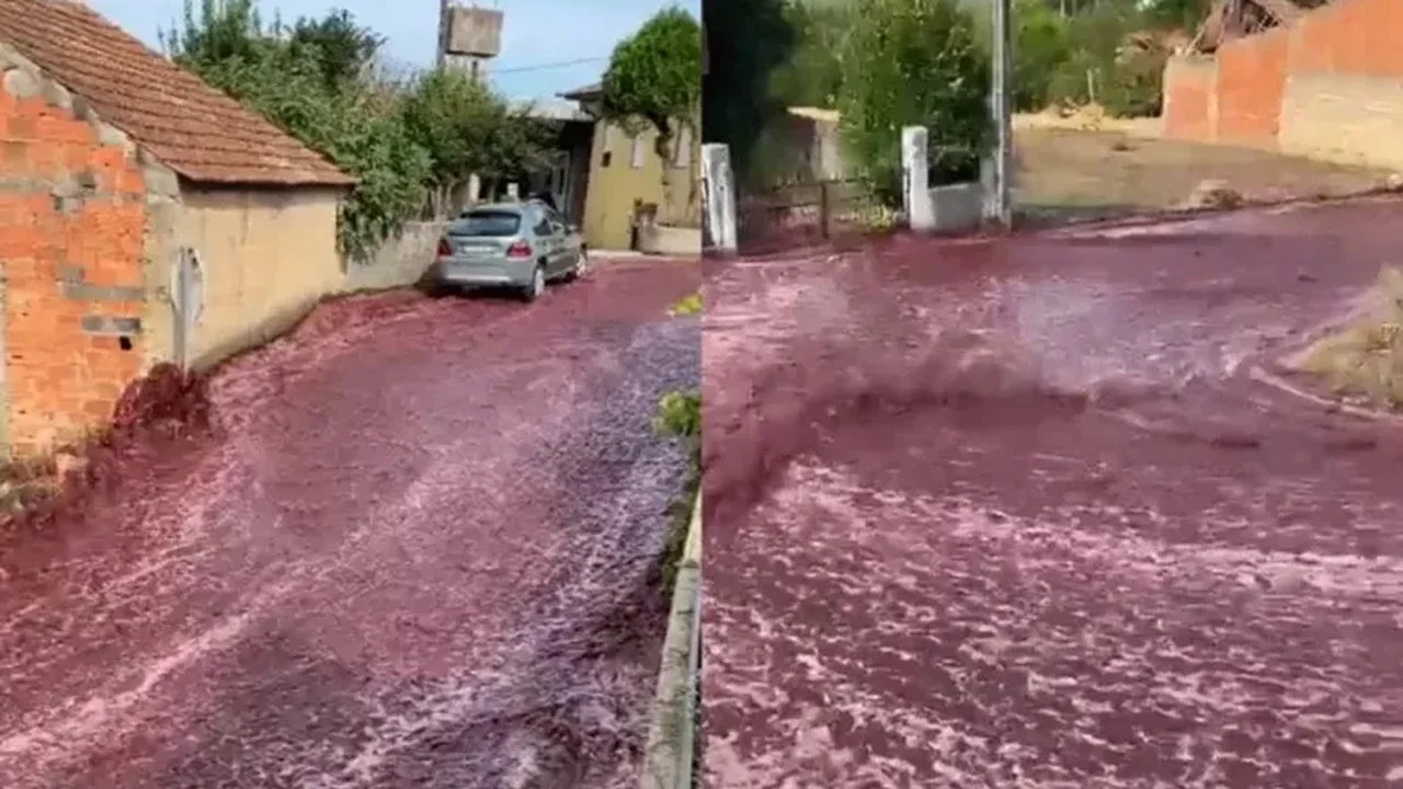 'Rio de vinho tinto' inunda ruas de Portugal após destilaria se romper; vídeo