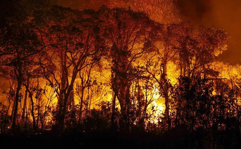 Senadores apresentam projetos para agravar penas em crimes de incêndio