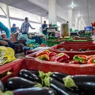Campanha busca engajamento para reduzir desperdício de alimento