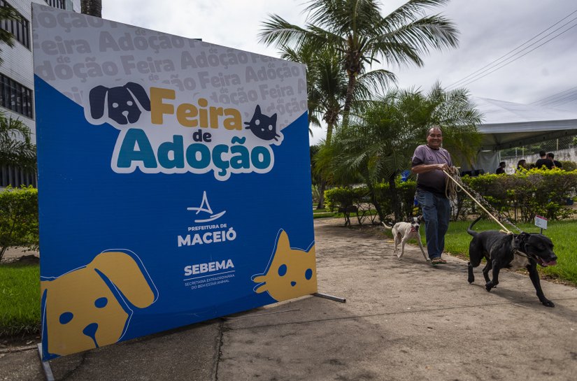 Feira de Adoção garante novos lares e acolhimento responsável para cães e gatos