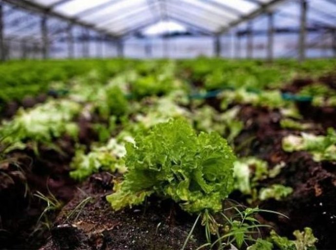 Emater prestará assistência técnica a agricultores atendidos pelo APL