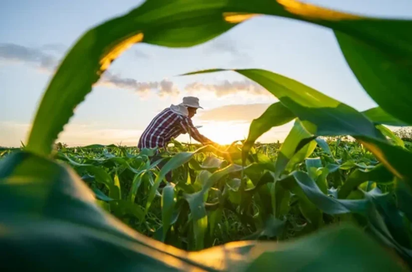 Produtor rural de AL tem até 30 de setembro para declarar ITR