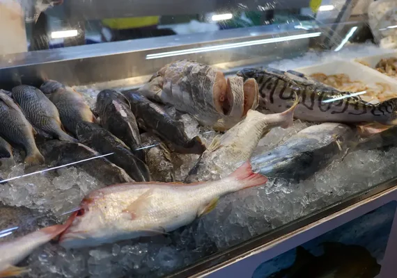 Peixe BR: tarifa de 50% dos EUA atinge diretamente o setor e é preciso restabelecer diálogo