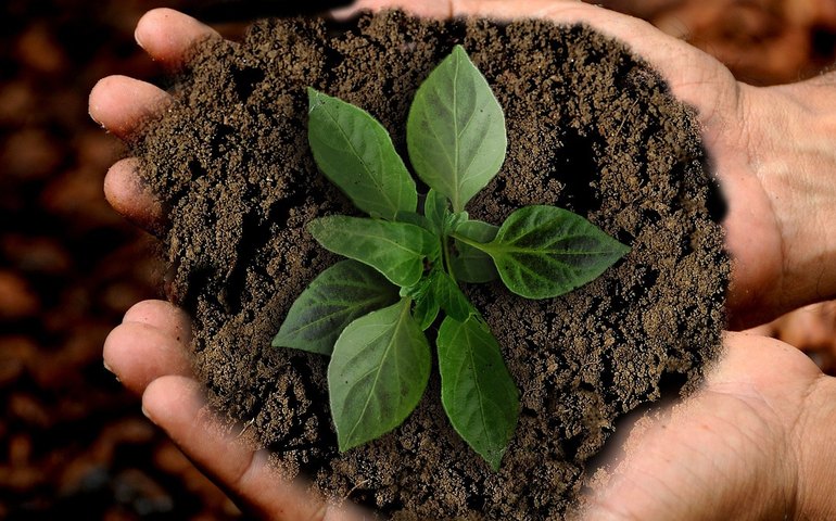 Lixo eletrônico é problema para indústria de tecnologia