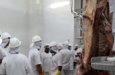 FrigoVale moderniza abate de carne em Alagoas 