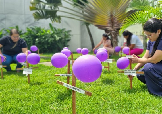 Área Lilás do Hospital de Emergência do Agreste transforma jardim em painel de conscientização sobre violência contra a mulher