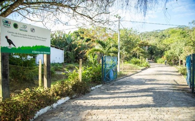 Comemoração dos 200 anos contará com a chegada do Mutum-de-Alagoas
