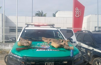 Polícia Militar apreende espingarda e peles de animais durante operação no interior
