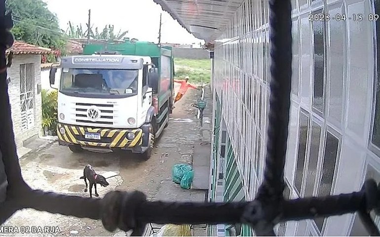 Funcionários de empresa de coleta de lixo envolvidos em morte de cachorro são demitidos