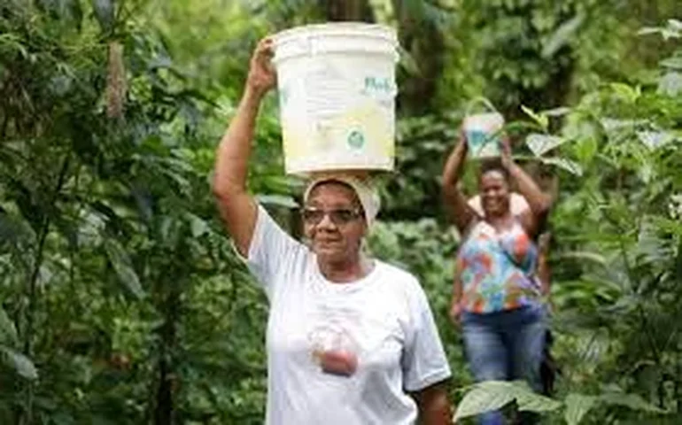 Quilombos do Rio mantêm vivas práticas ancestrais e se consolidam como símbolos de memória e resistência
