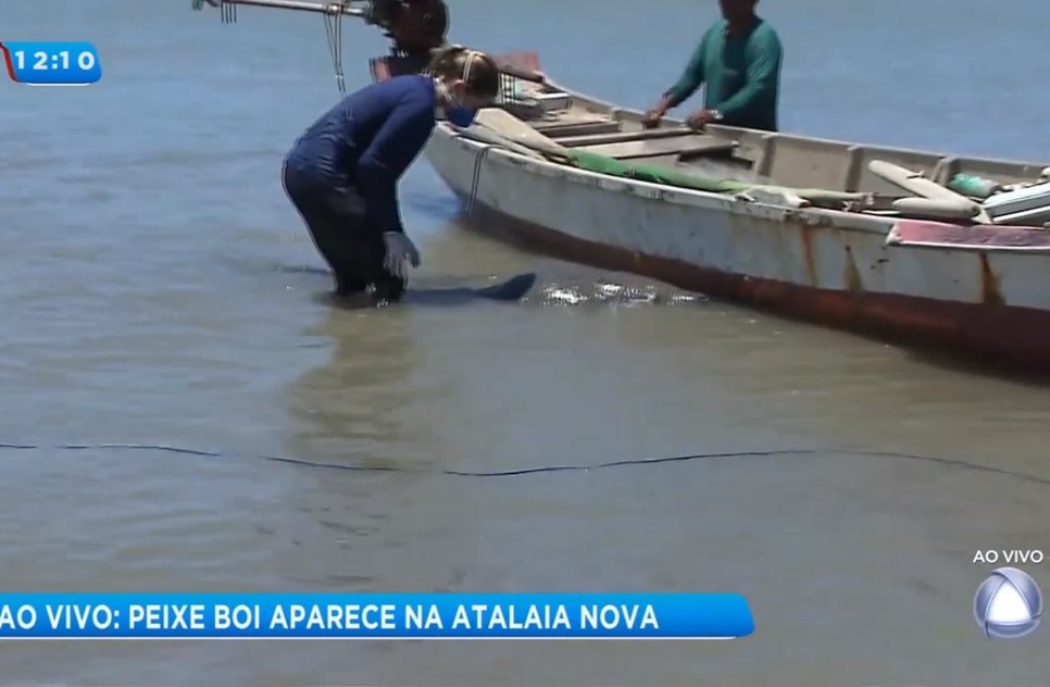 PEIXE BOI TINGA