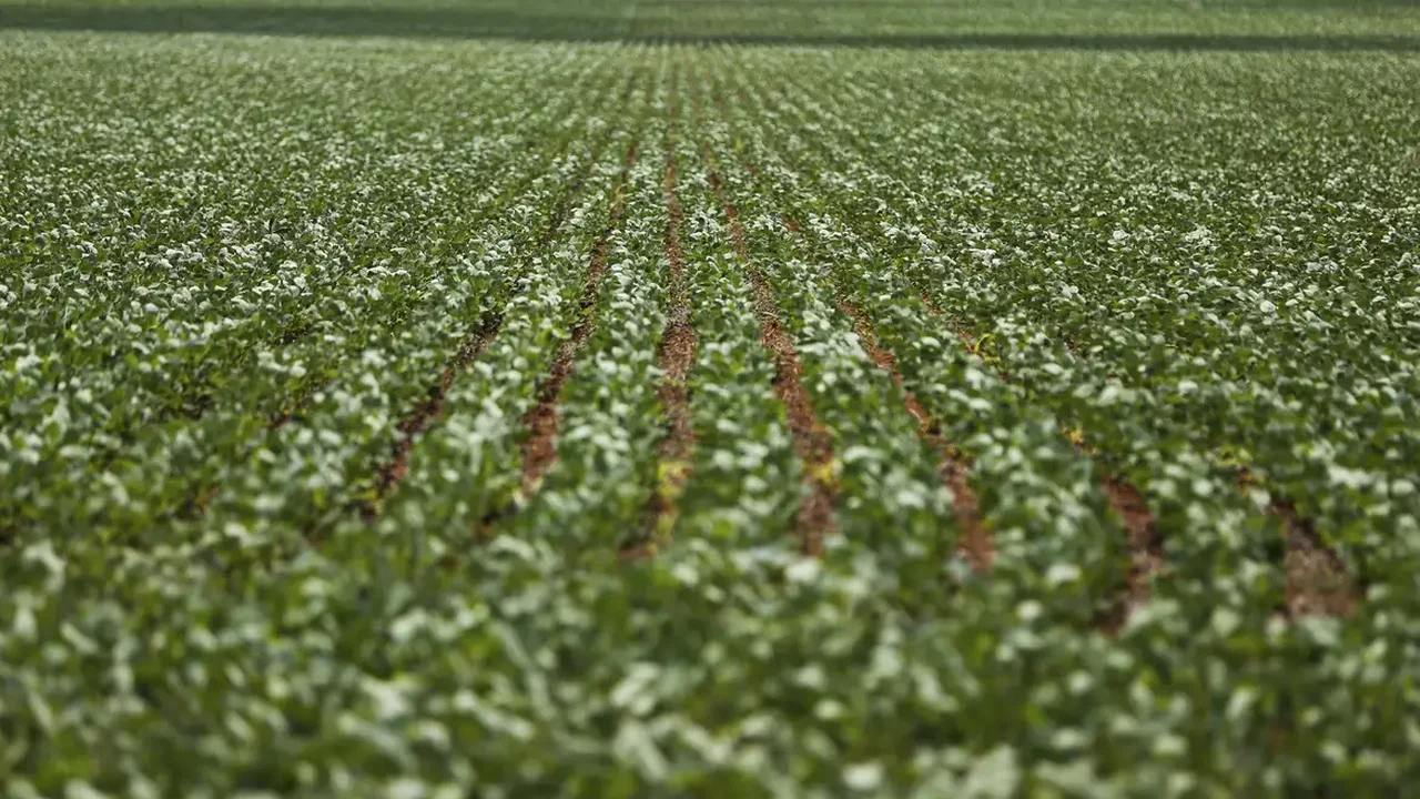 Reunião com bancada do agro termina sem acordo sobre dívidas rurais