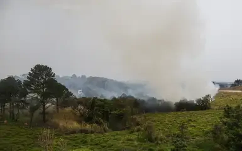 Prejuízos com queimadas em SP passam de R$ 1 bilhão, diz governo